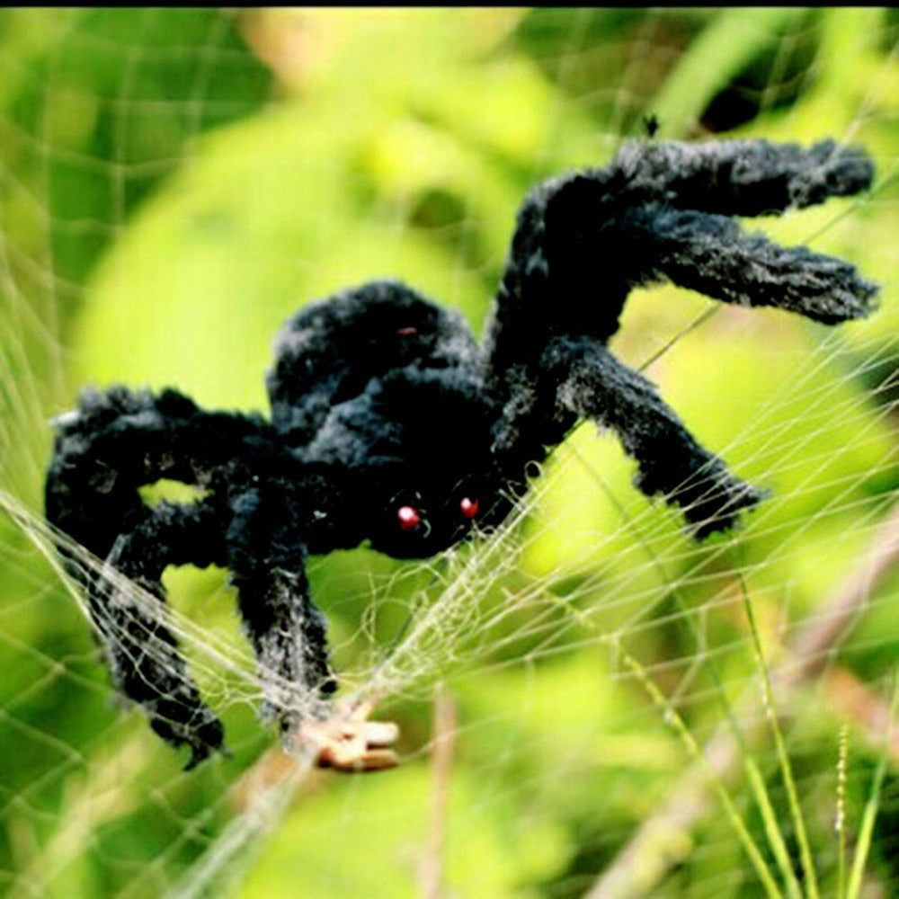 Spider Decor for Halloween