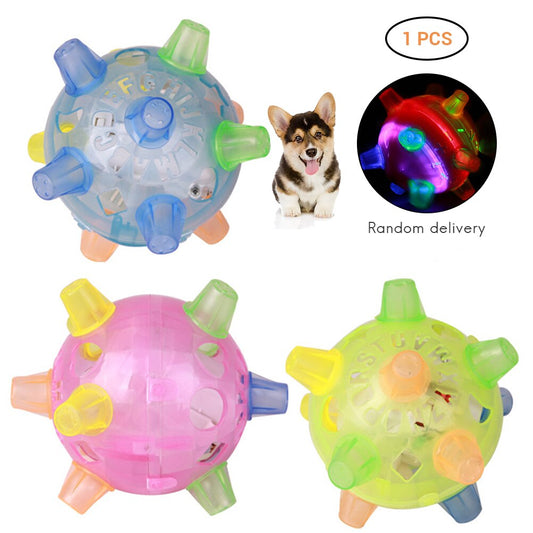 LED Pet Dog Toy